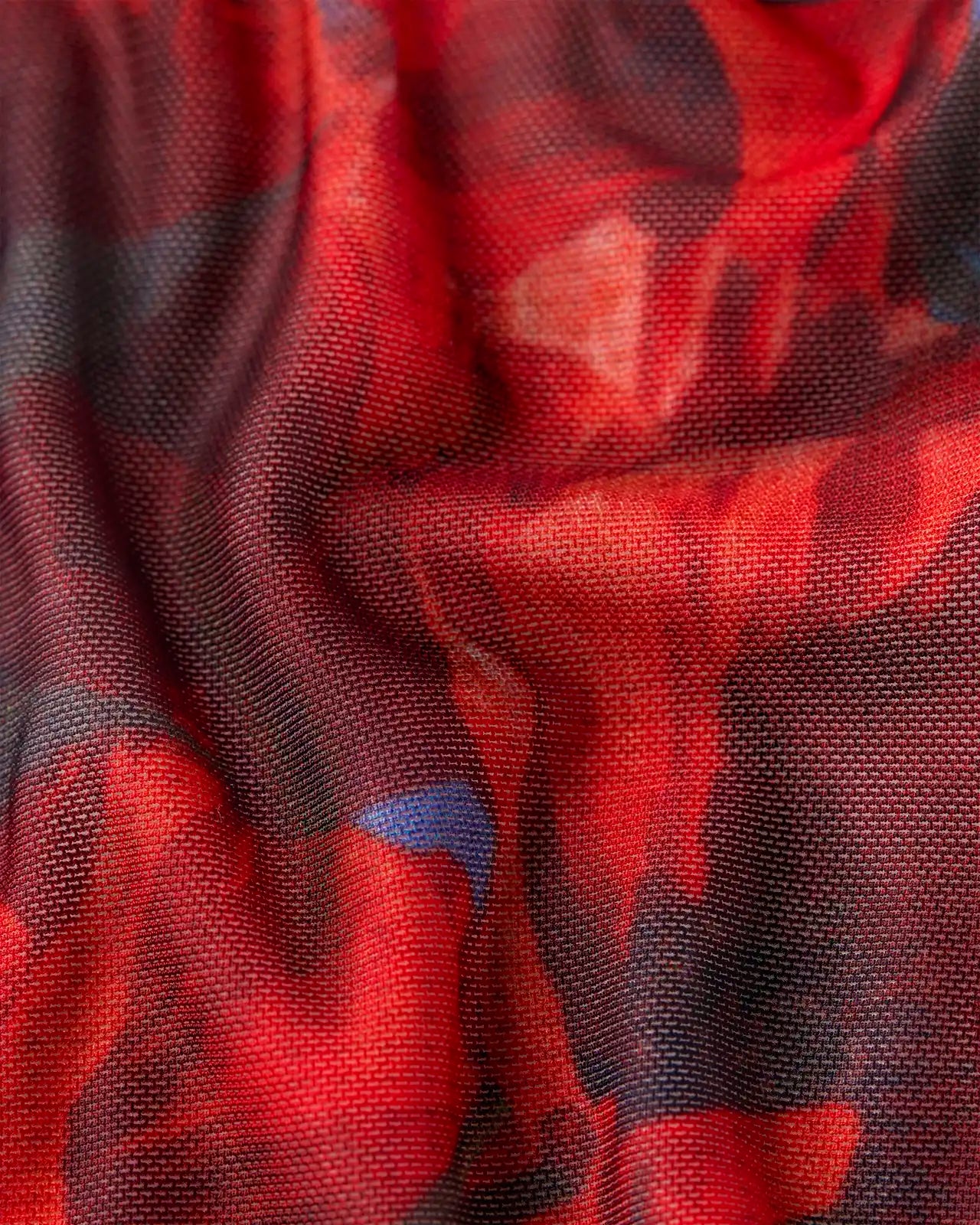 Izabela Guedes - Poppy High - Image 5